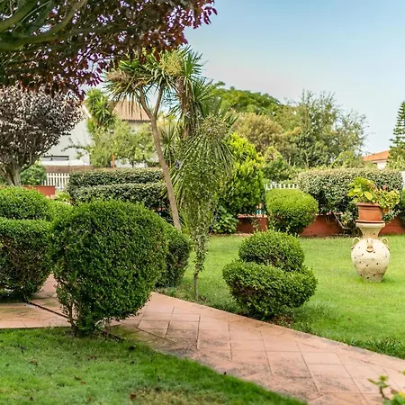 Primula * Valledoria (Sardinia)