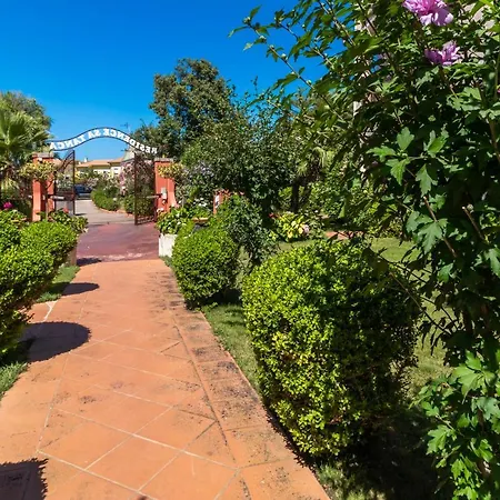 Primula * Valledoria (Sardinia)