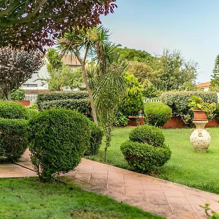 Primula ヴァッレドーリア