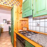 Primula فاليدوريا