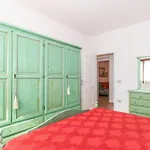 Primula شقة *