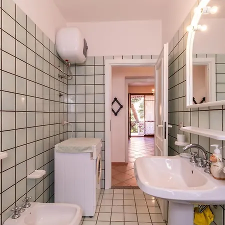 Primula * ואלדוריה