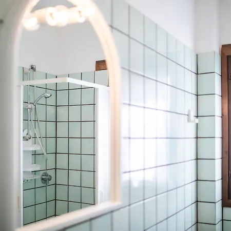 Primula Valledoria (Sardinia)