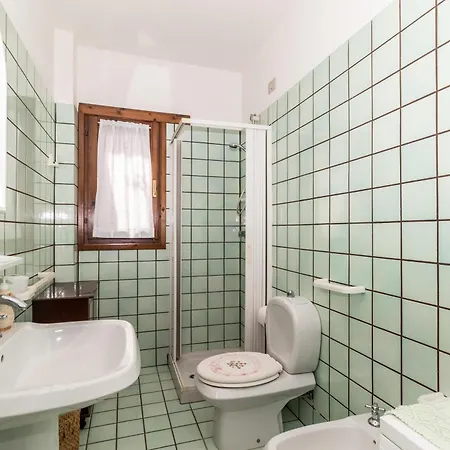 Primula * ואלדוריה